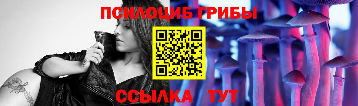 Галлюциногенные грибы Psilocybine cubensis Краснознаменск